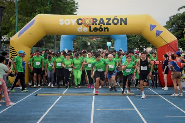 Carrera Leones Negros – Diagnostik